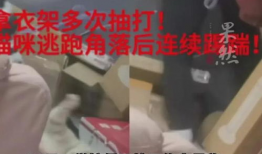 吃瓜最新事件爆料老师视频,老师视频引发热议，吃瓜群众纷纷围观