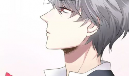 男同动漫有哪些,多元情感与视觉盛宴的交融